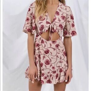 Tobi Floral Pink Dress